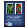 Franchise business to business print advertising: 