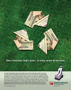 Franchisee Recruitment Print Advertising: 