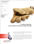 Franchisee Recruitment Print Advertising: 